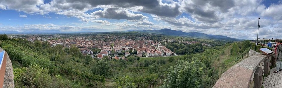 Panorama Obernai